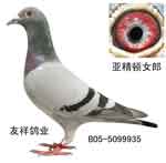 �Ǿ���Ů��