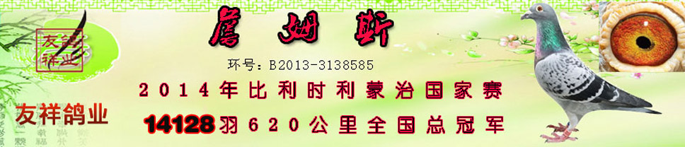 友祥信鸽文化有限公司