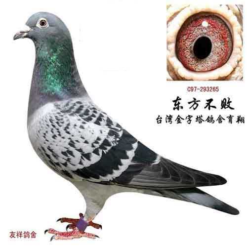东方不败
