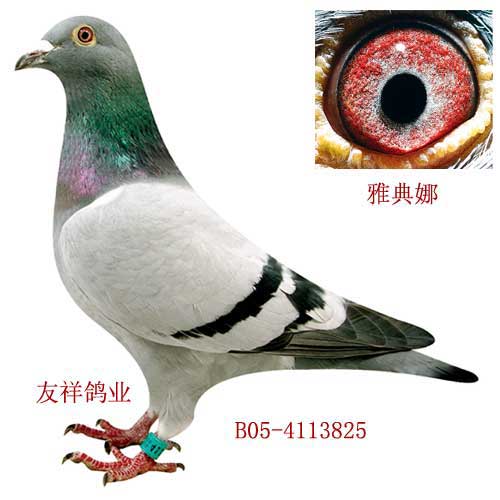 雅典娜