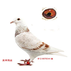 米兰达