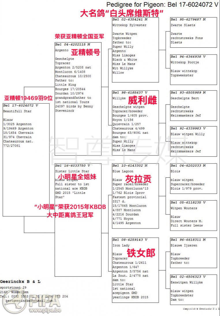 比利时沃默尔海姆的巴特&尤根.吉林克斯摘得亚精
