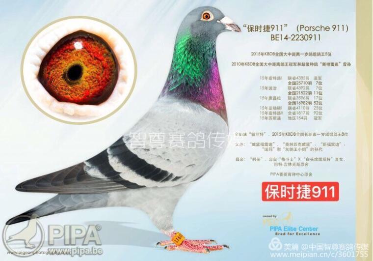比利时沃默尔海姆的巴特&尤根.吉林克斯摘得亚精