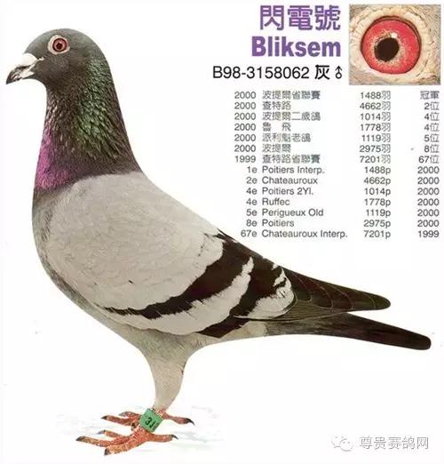 盖比•凡得那比-鲁迪的“恐怖”赛绩