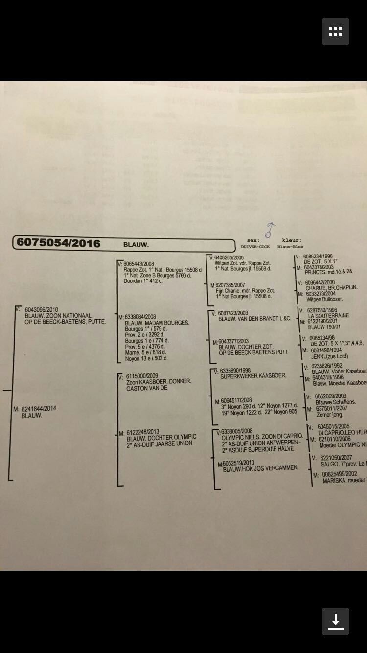 “迪克的最爱”――16-6075054