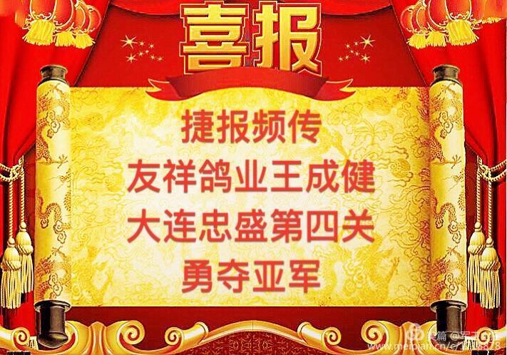 2018友祥鸽业捷报频传上榜成绩不断更新