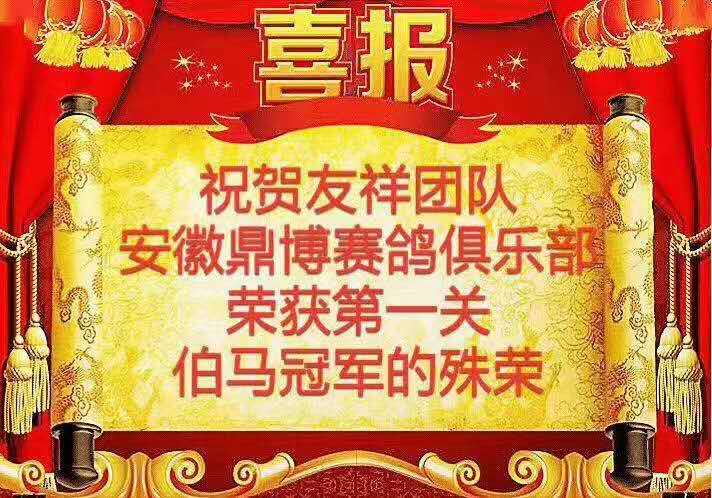 2018友祥鸽业捷报频传上榜成绩不断更新