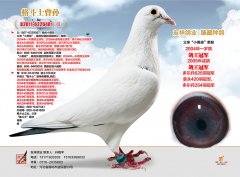 格斗士曾孙