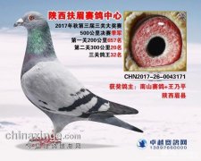 500公里决赛季军