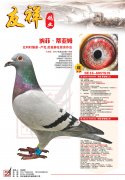 纳菲.蒂亚姆