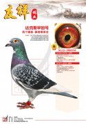 达克斯早回号
