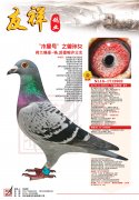 木星号之曾孙女