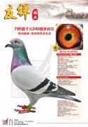 796直子×240直外孙女