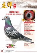 冲刺国王直孙
