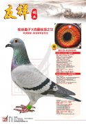 库丝直子×克丽斯塔之女