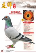 库尔斯盖比系