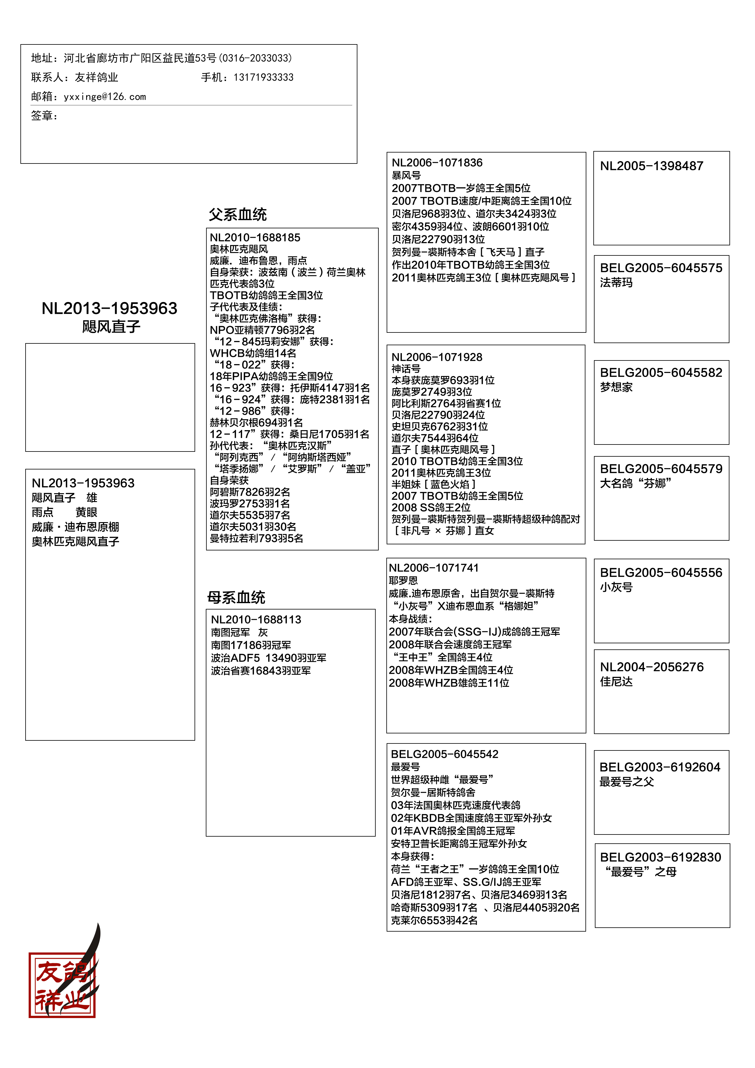 威廉.迪布恩血系再创佳绩！