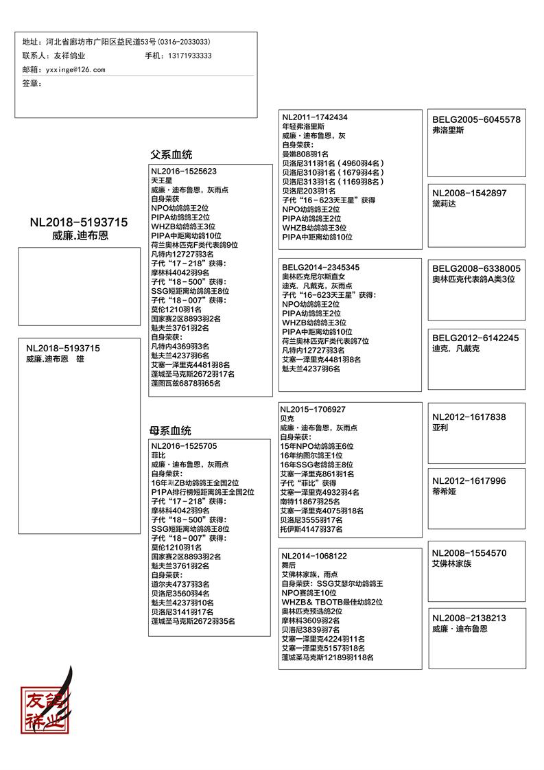 威廉.迪布恩血系再创佳绩！