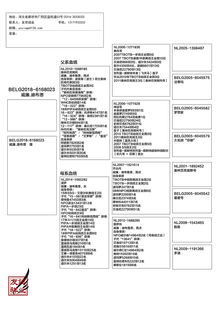 威廉.迪布恩血系再创佳绩！