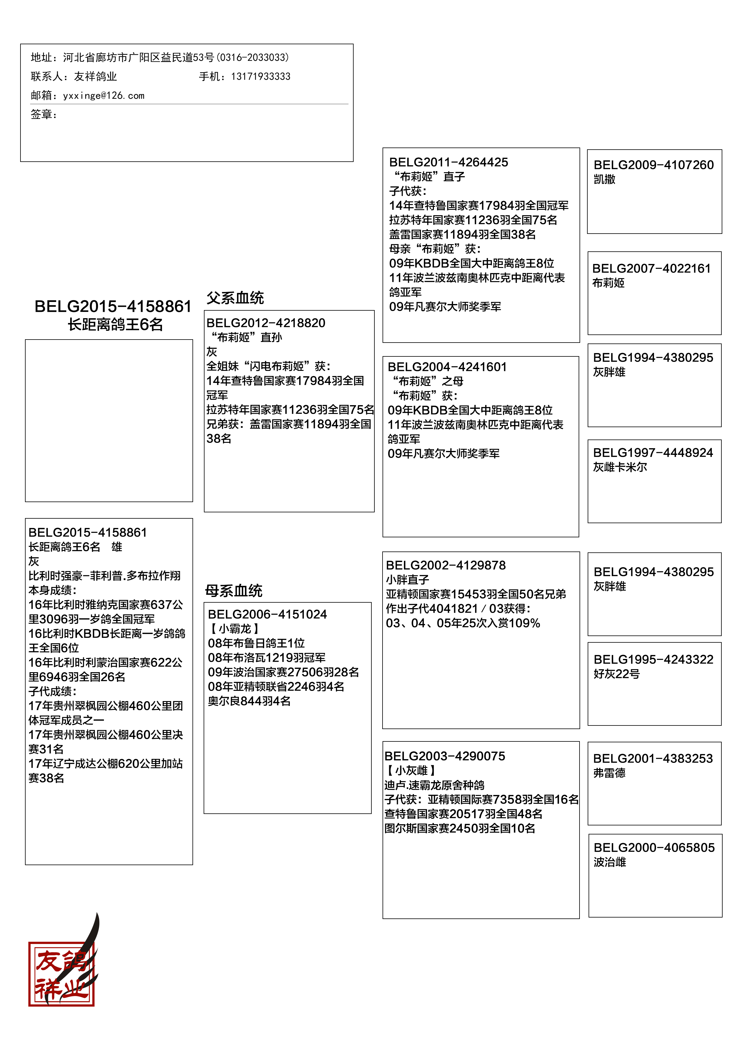 昨日菲利普•多布拉又获得KBDB长距离一岁鸽全国