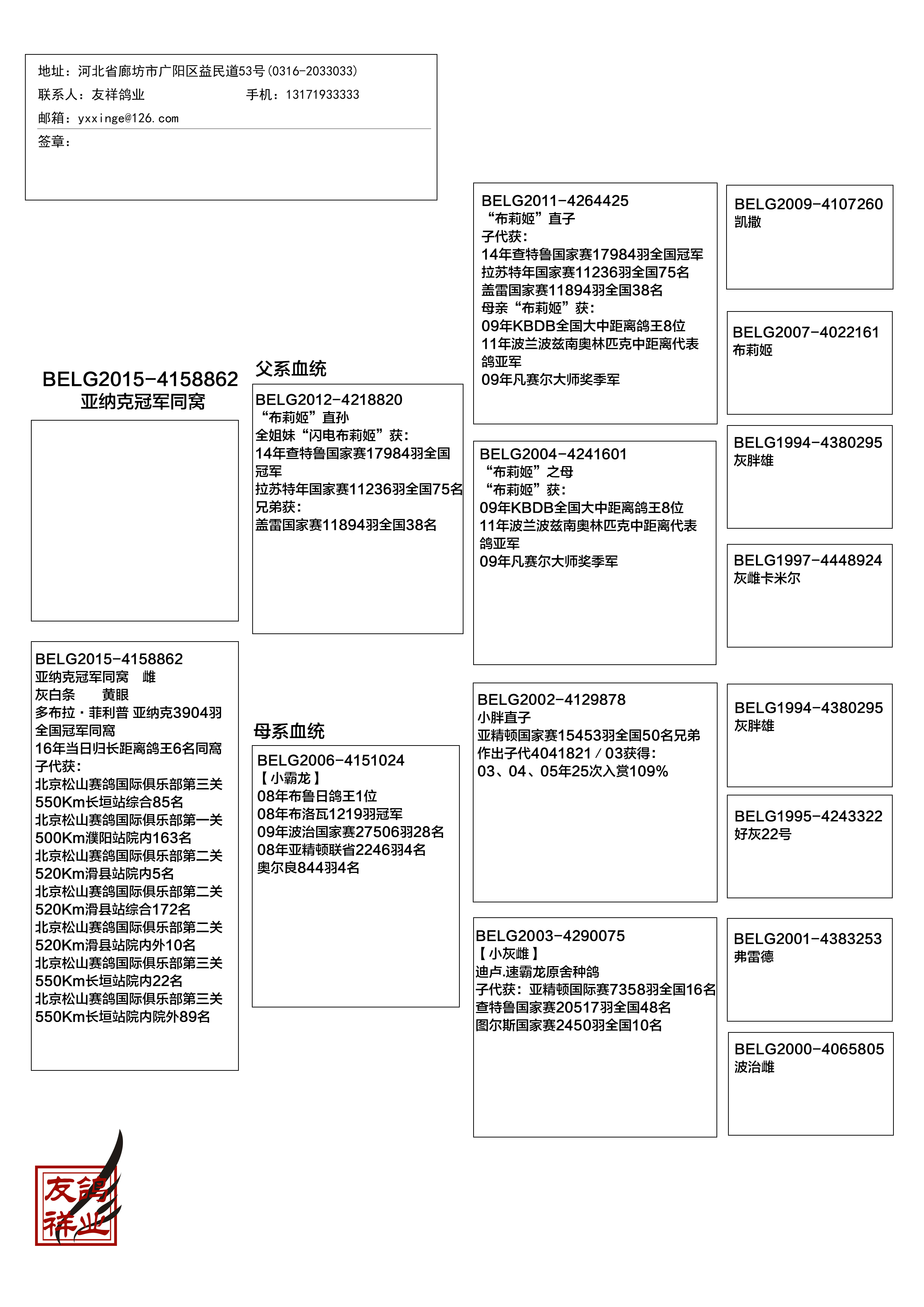 昨日菲利普•多布拉又获得KBDB长距离一岁鸽全国