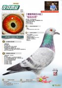 【黎哥外孙】