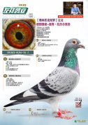 【斯洛伐克奥林匹克尼罗】之父