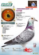 【斯洛伐克奥林匹克尼罗】之母