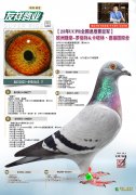 23年UCPR全国速度赛亚军